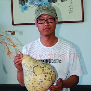 阚学英
