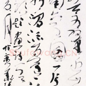 张旭光