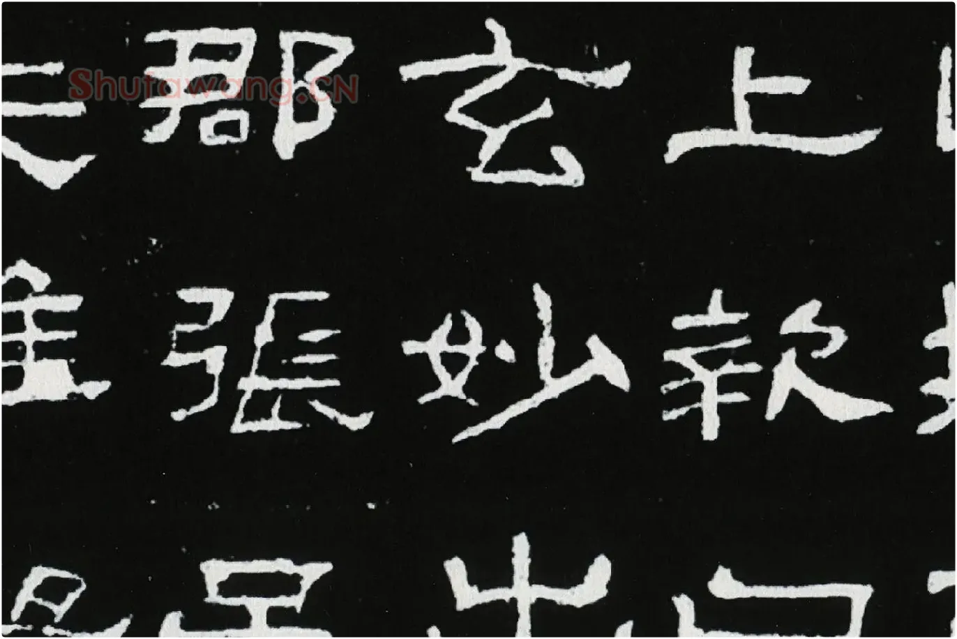 东汉隶书《肥致碑》全碑碑拓高清大图局部 (5)
