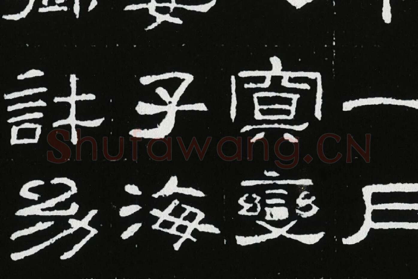 东汉隶书《肥致碑》全碑碑拓高清大图局部 (6)