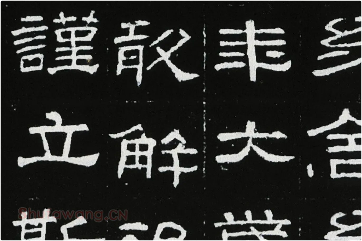东汉隶书《肥致碑》全碑碑拓高清大图局部 (7)