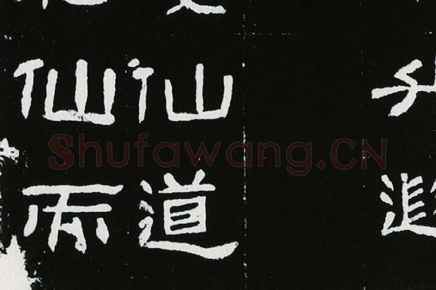 东汉隶书《肥致碑》全碑碑拓高清大图局部 (8)