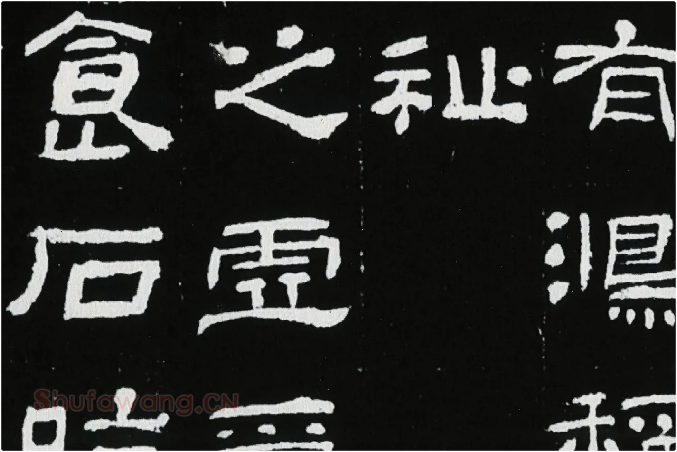 东汉隶书《肥致碑》全碑碑拓高清大图局部 (10)