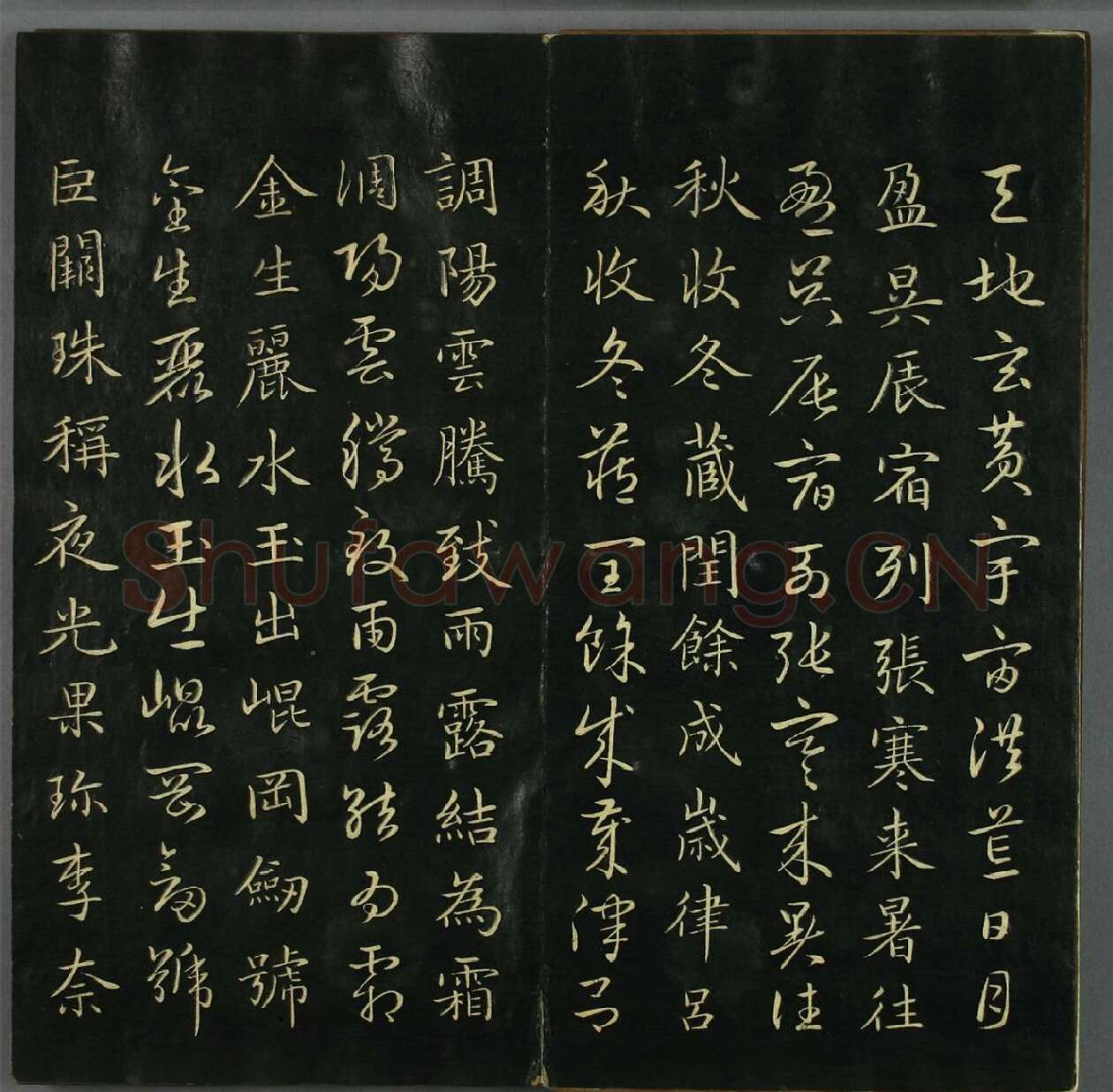 赵孟頫《真草千字文》 (2)