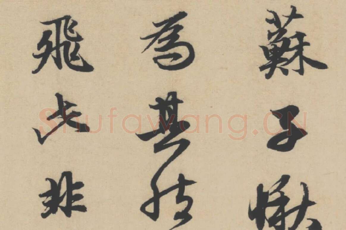 赵孟頫行书《前赤壁赋》局部细节 (4)