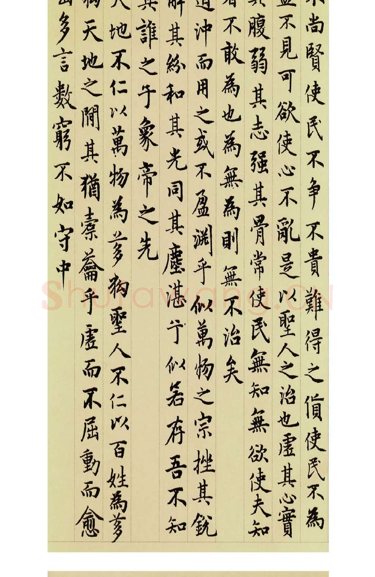 赵孟頫小楷道德经 (3)
