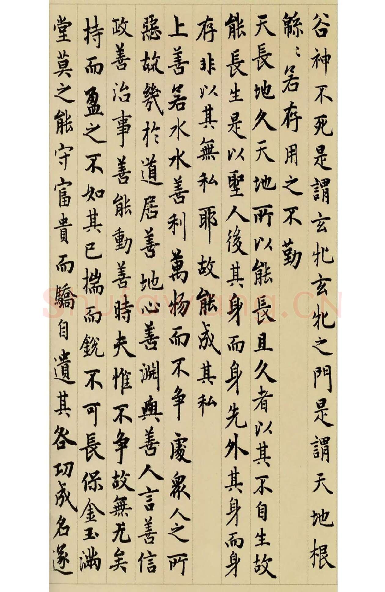赵孟頫小楷道德经 (4)