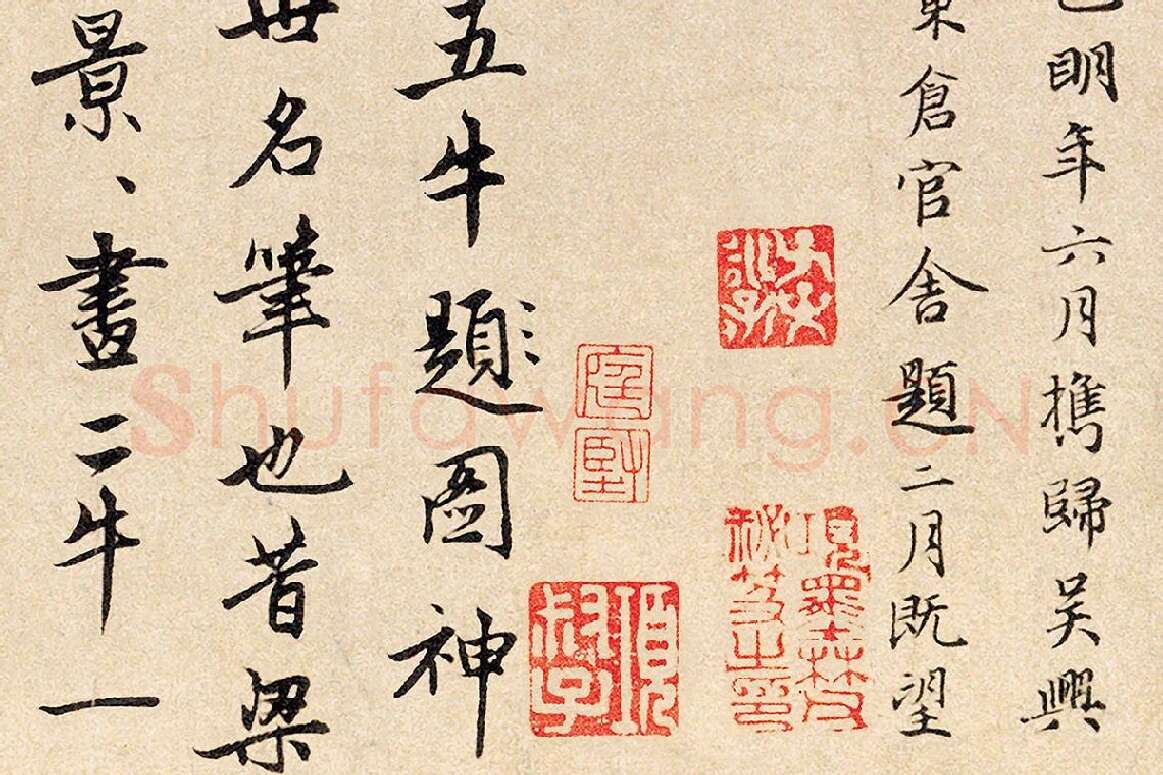 赵孟頫行书题跋《三跋五牛图》局部 (4)