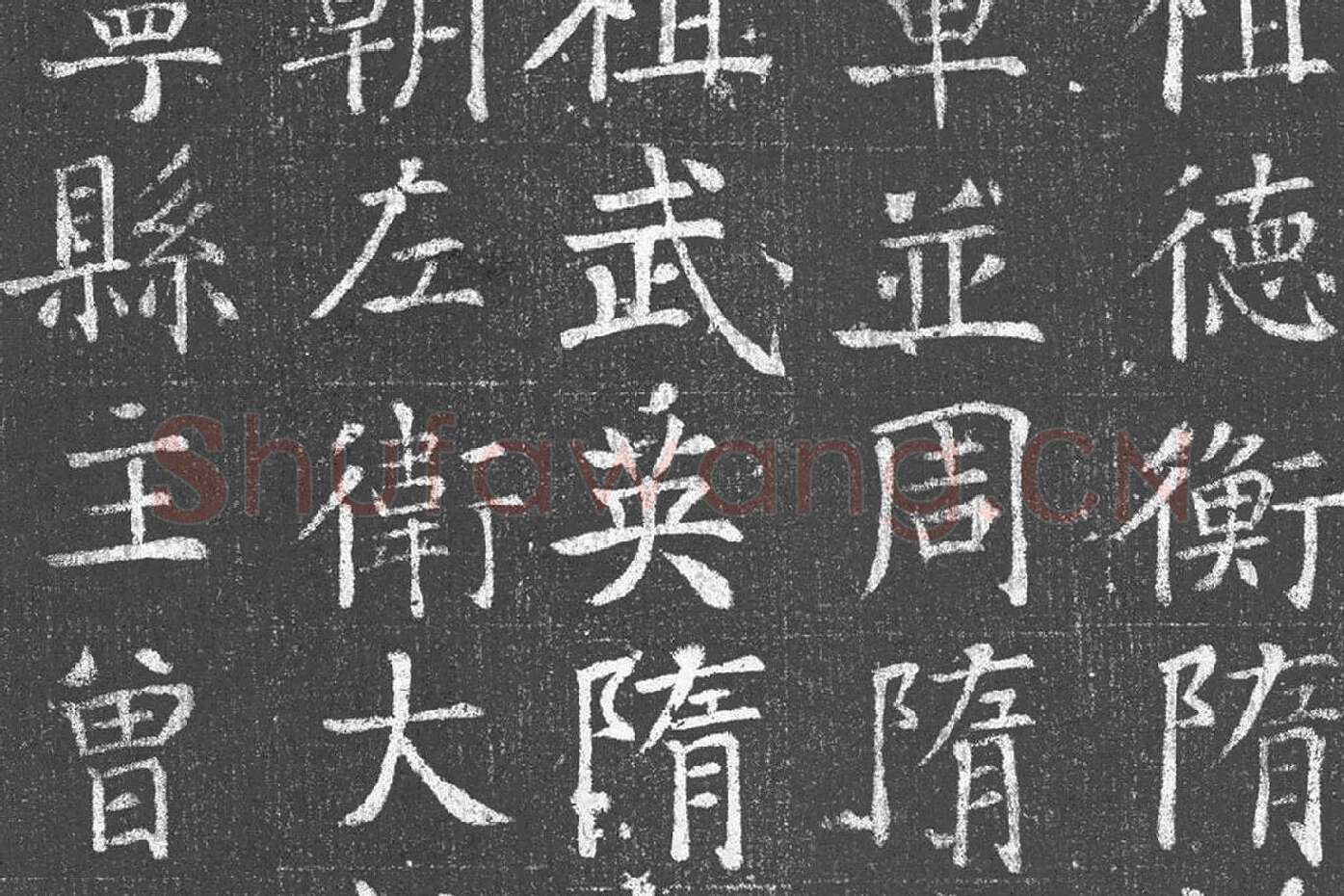 颜真卿青年时期楷书《王琳墓志》局部 (2)