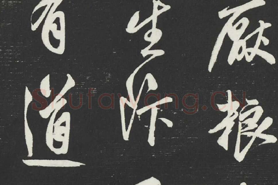 鲜于枢《行草真迹》墨拓字帖局部 (3)
