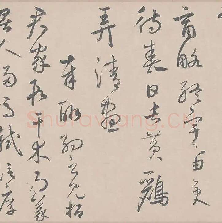 鲜于枢行草书《王安石杂诗卷》_10