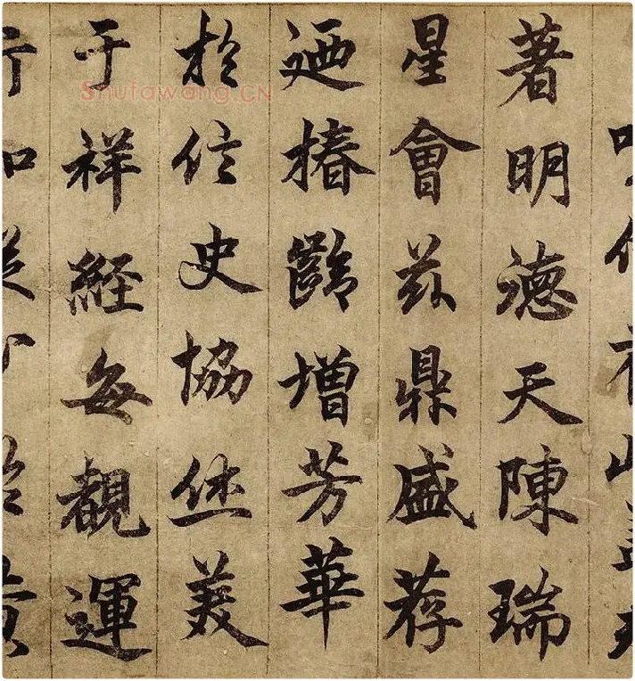柯九思楷书《老人星赋》卷_06