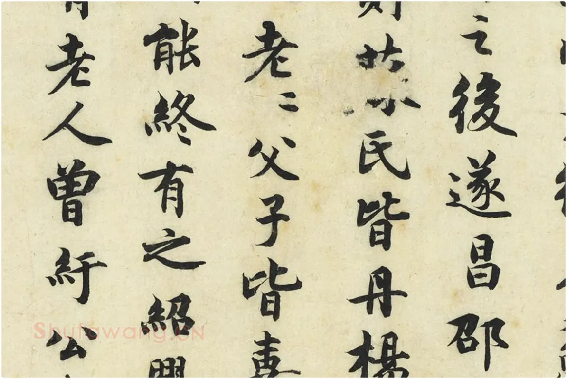 曾纡行楷书《题跋怀素自叙帖》局部 (3)