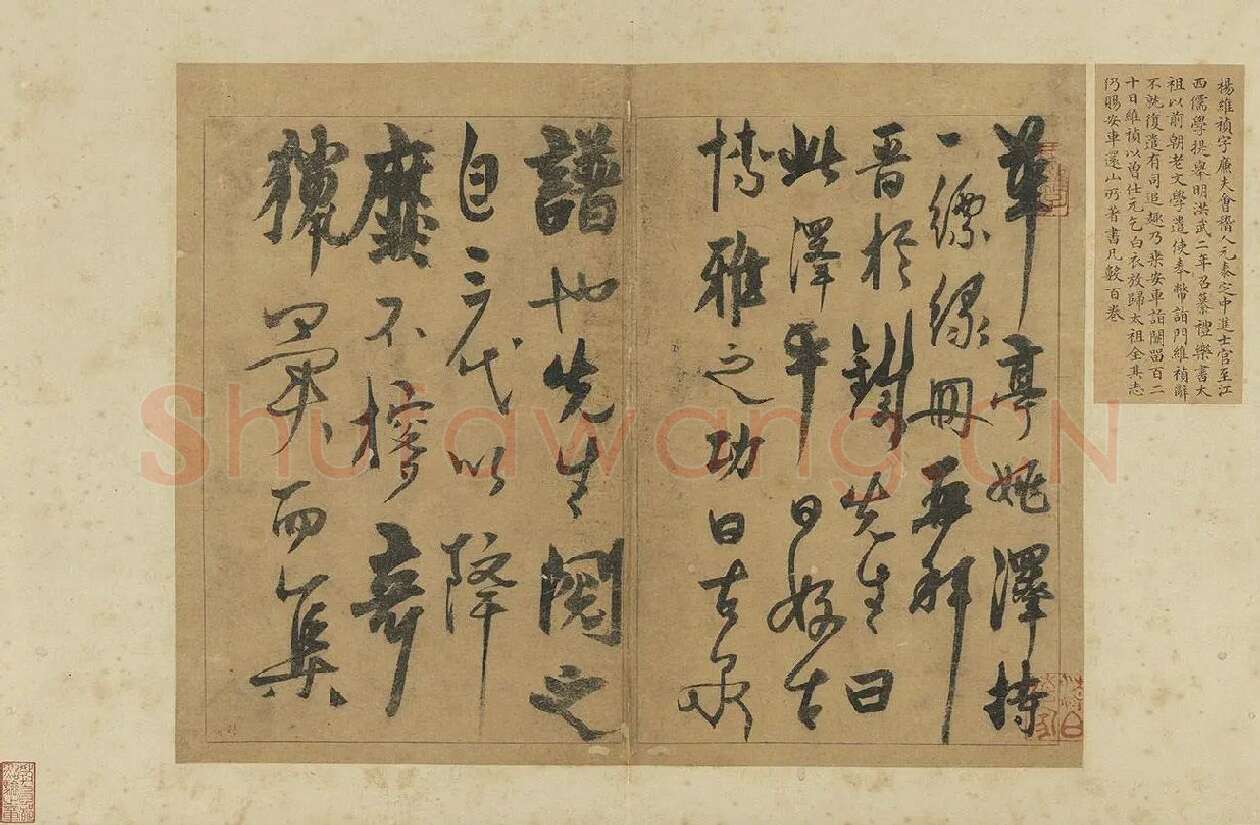 杨维桢草书册页《书跋语册》_01