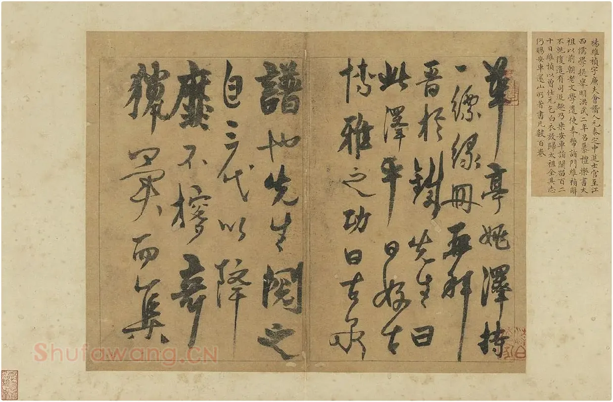 杨维桢草书册页《书跋语册》_01