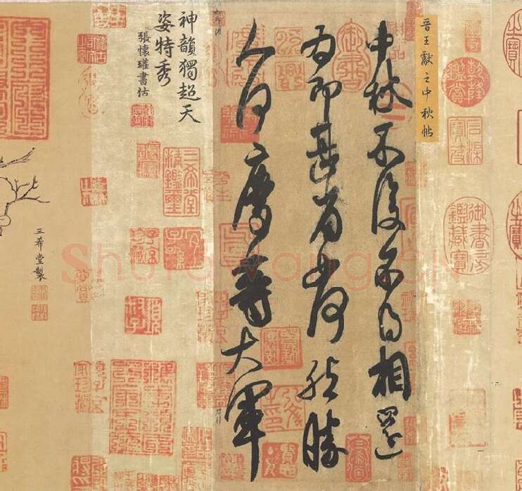 王献之草书《中秋帖》 (8)