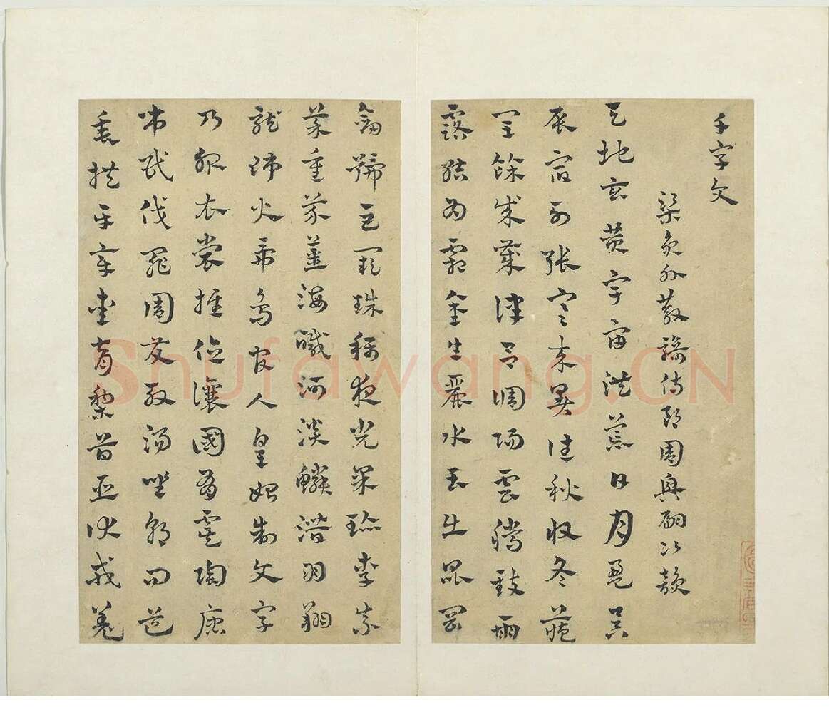 赵雍章草书《千字文》 (1)