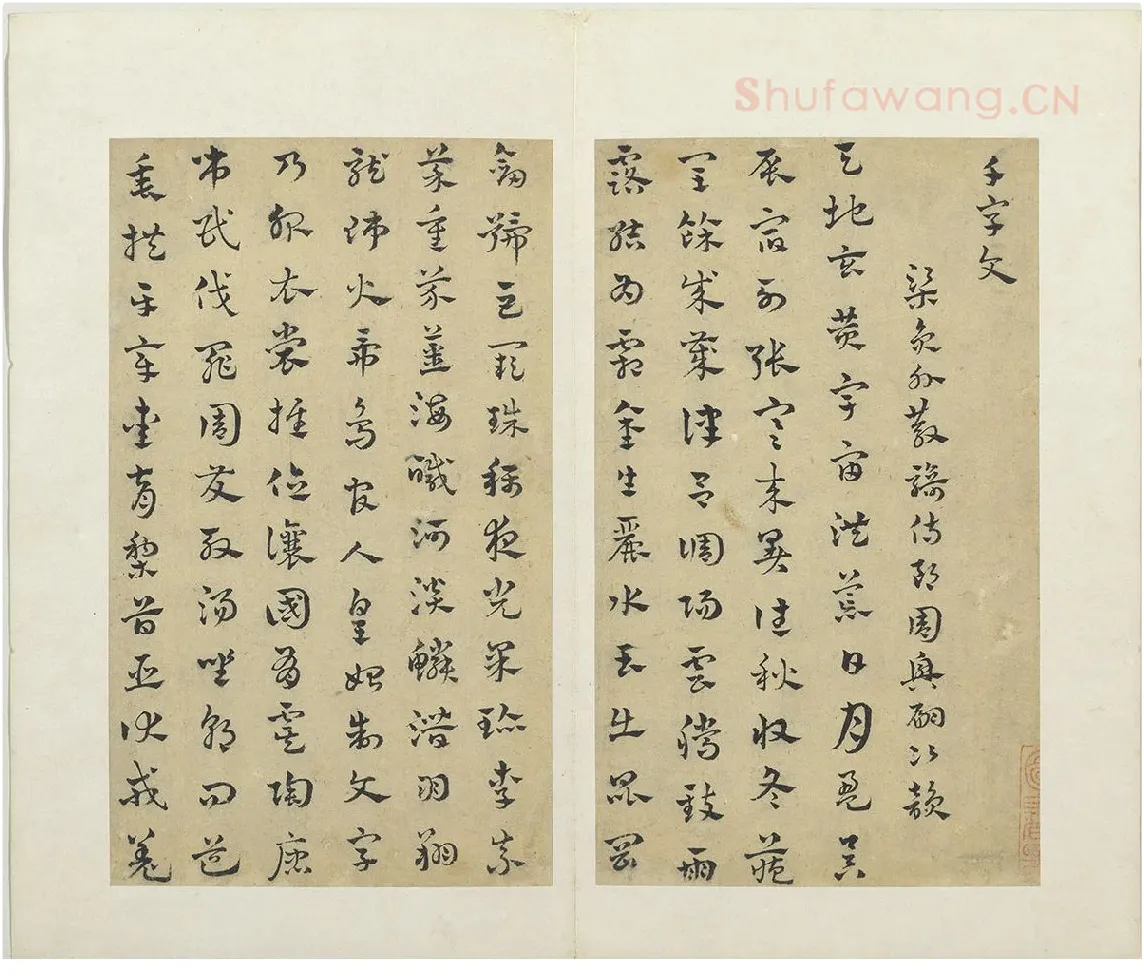 赵雍章草书《千字文》 (1)