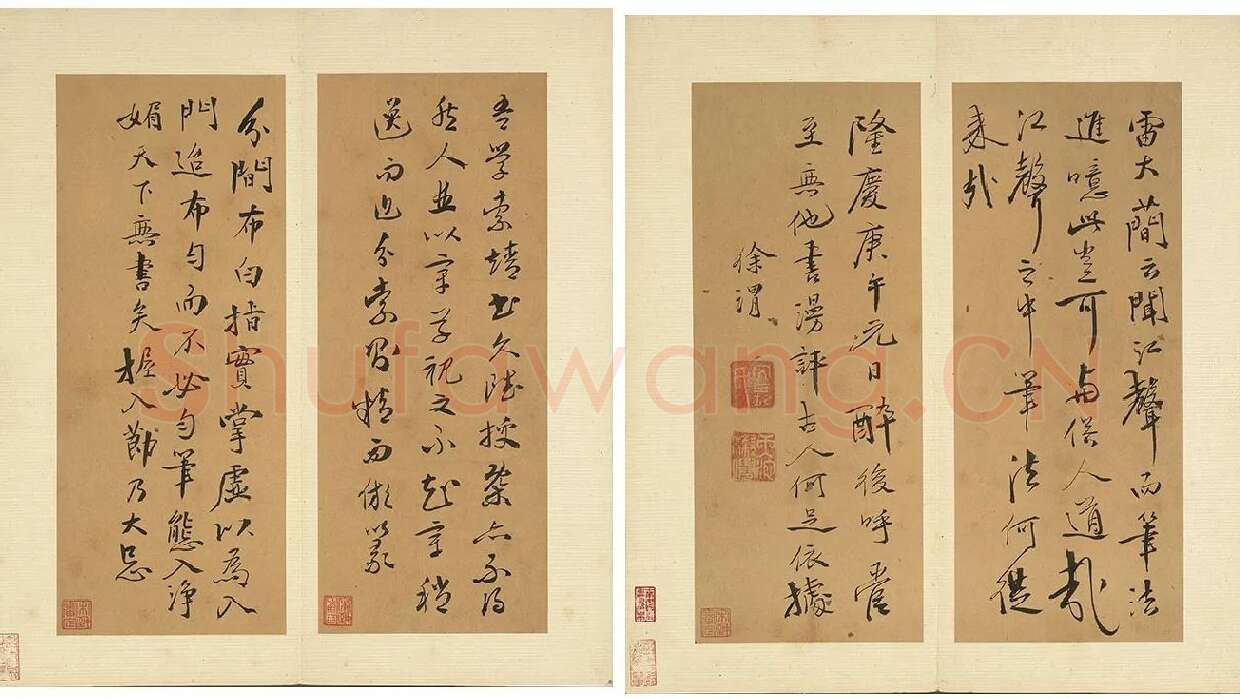徐渭行书册页《诗帖并书评》册_04