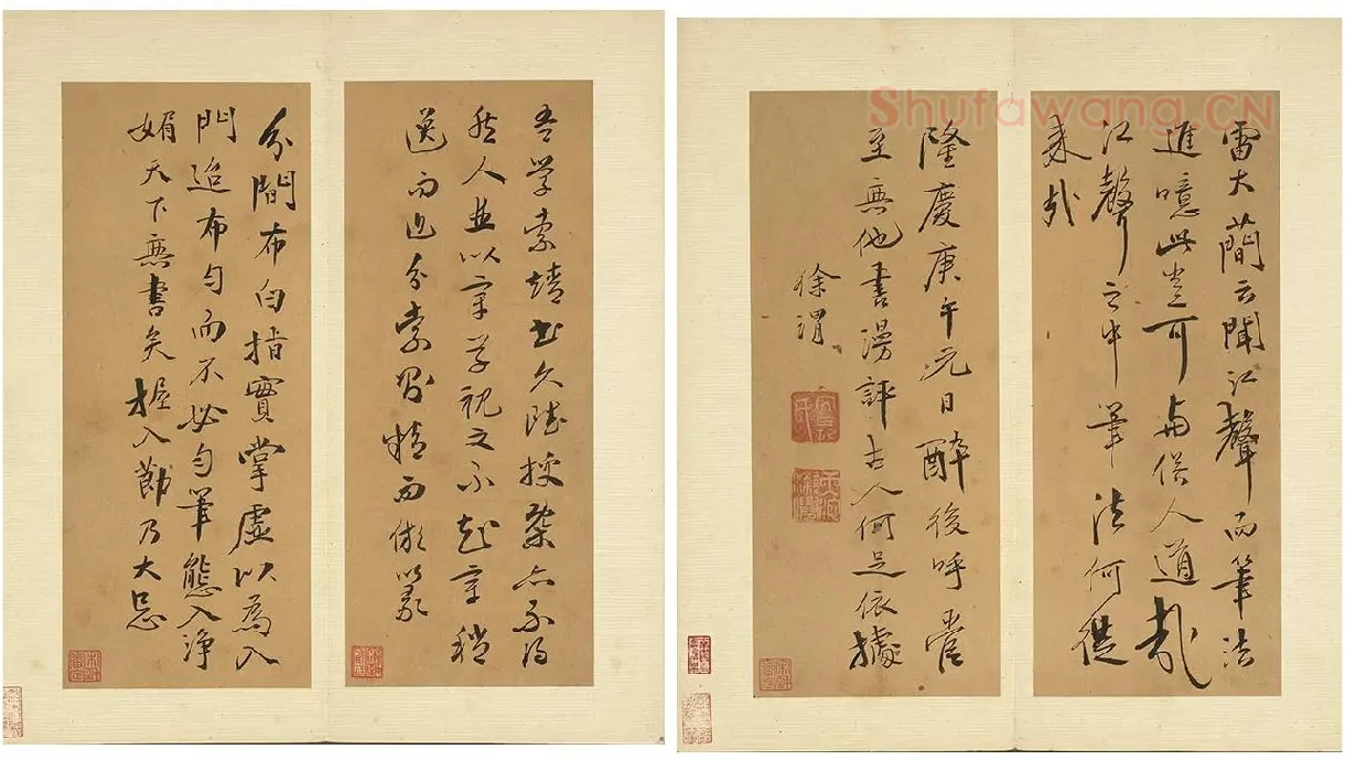 徐渭行书册页《诗帖并书评》册_04