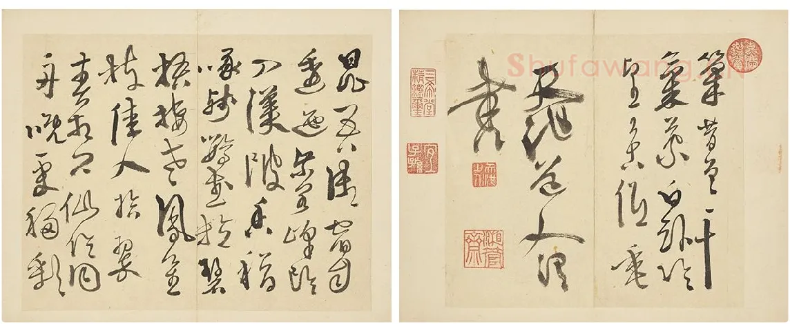 徐渭行草书《书杜甫秋兴八首》_06
