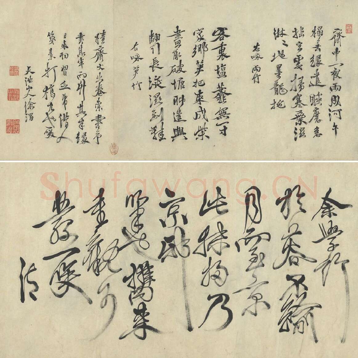徐渭行草书书法