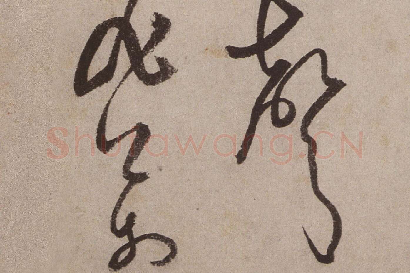 文徵明《草书诗卷》高清大图局部 (3)