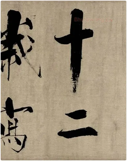张即之行书《双松图歌》_06