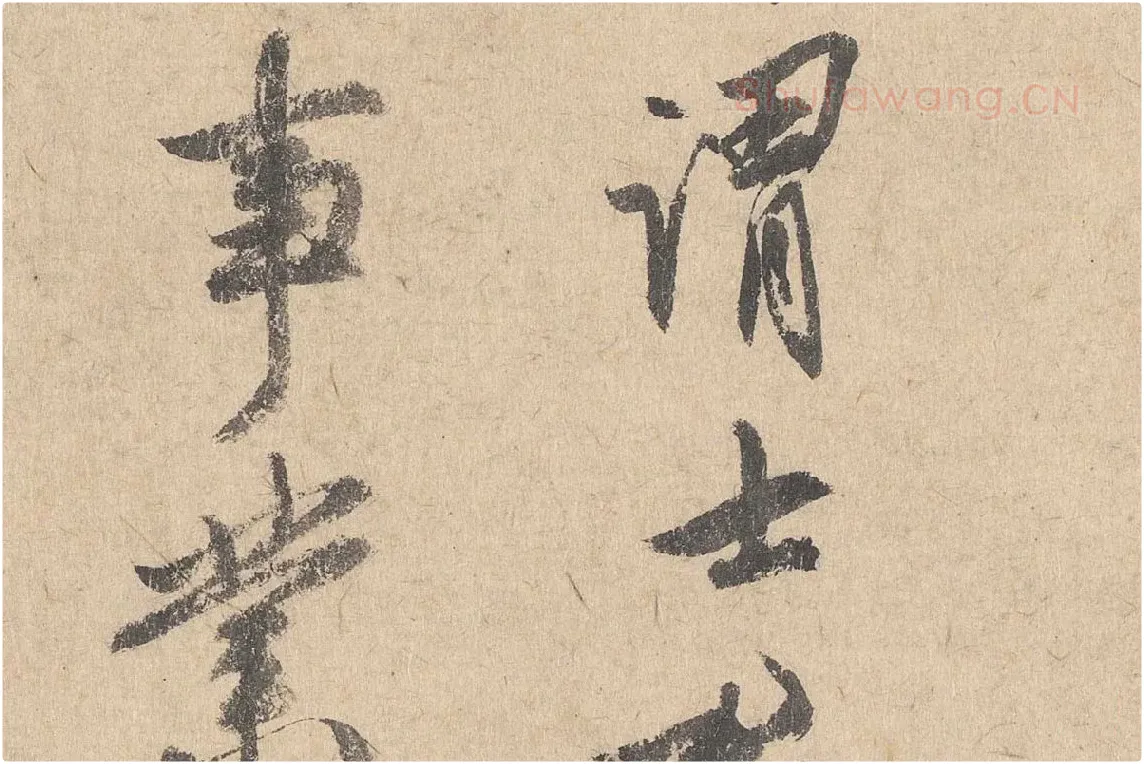司马垔行草书法《跋道服赞》局部 (2)