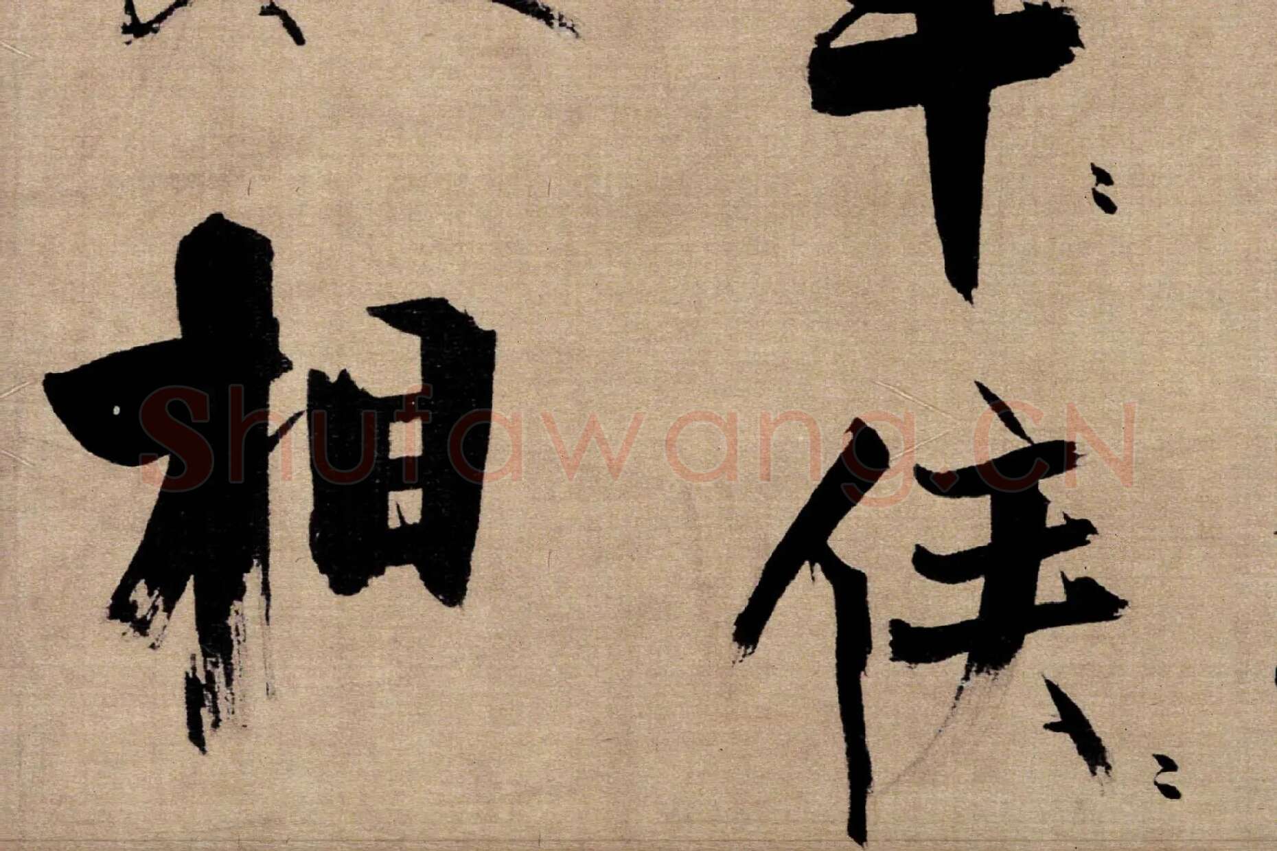 张即之行书《双松图歌》局部 (5)