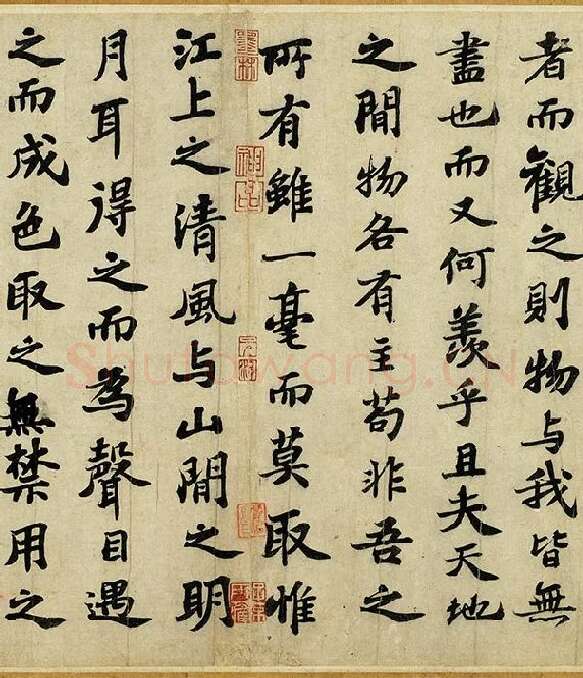 苏轼行楷书《前赤壁赋》全卷_09