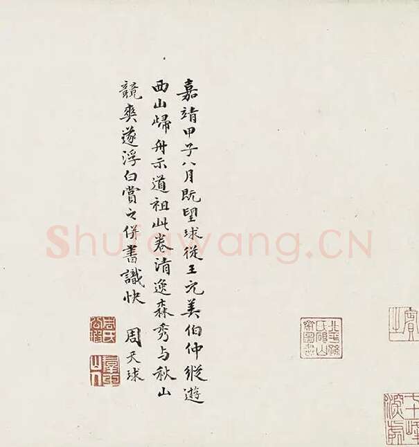 薛绍彭行书《杂书卷》_08