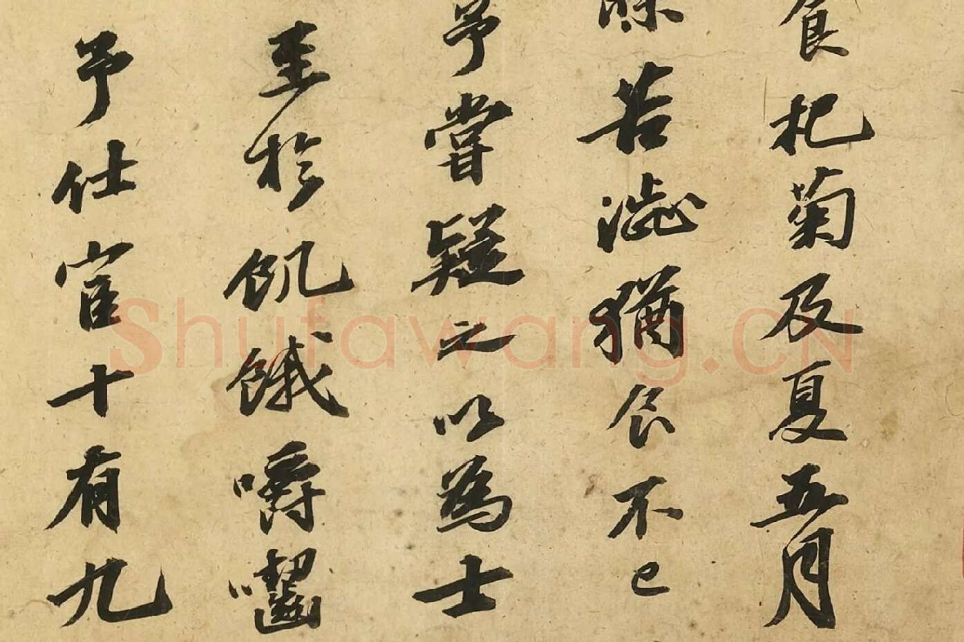 苏轼行书《自书后杞菊赋》局部 (2)