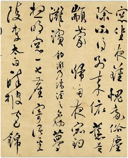张弼《草书杂书卷》_06