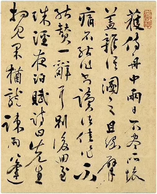 张弼《草书杂书卷》_07