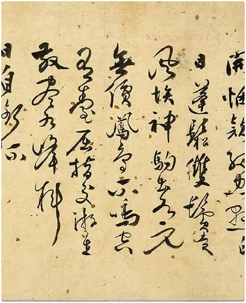 张弼《草书杂书卷》_10