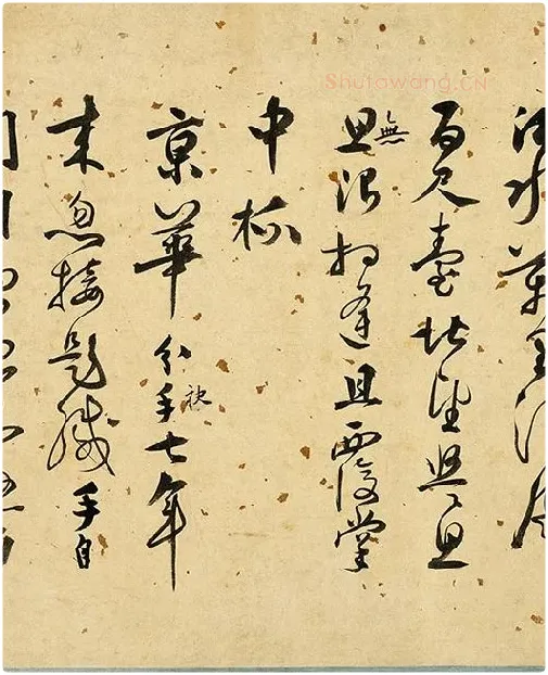 张弼《草书杂书卷》_11