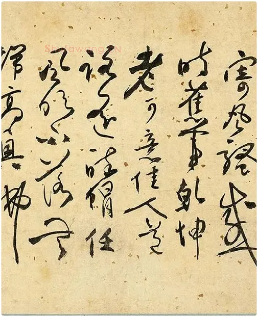 张弼《草书杂书卷》_17