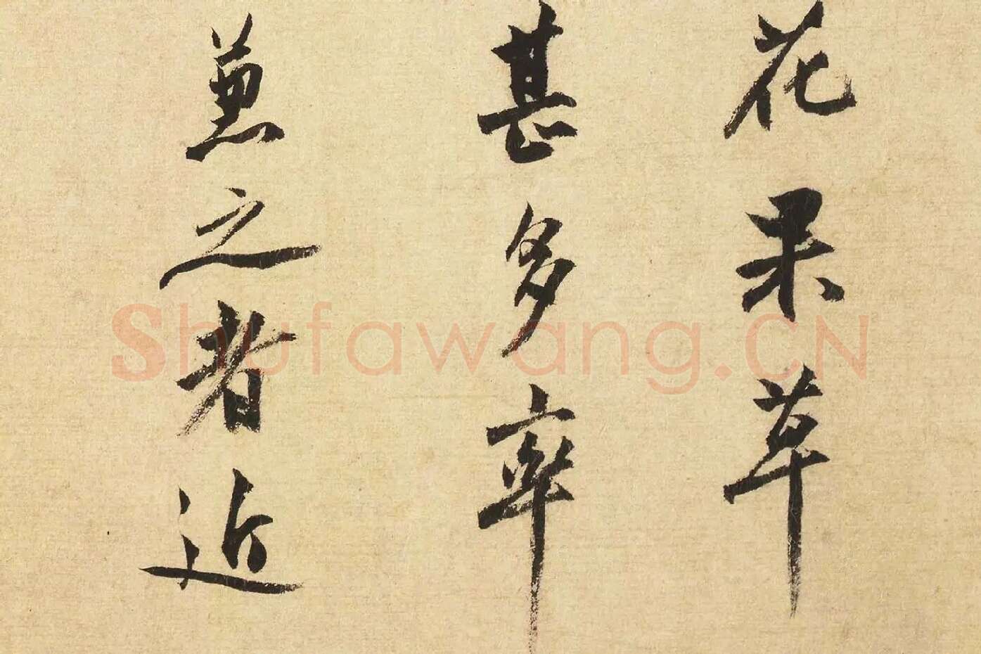 沈周行书书法《题跋法常水墨写生图》局部 (3)