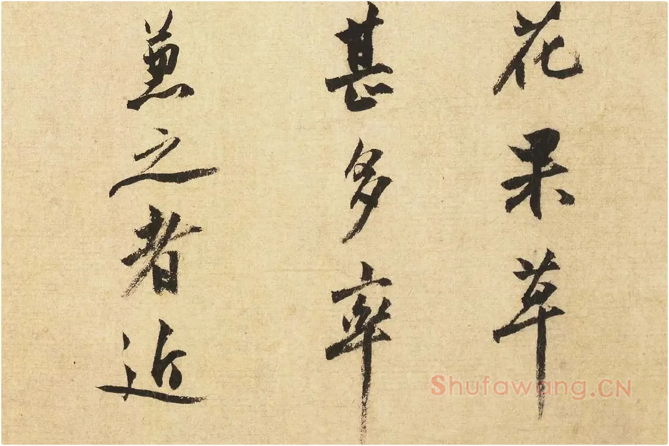 沈周行书书法《题跋法常水墨写生图》局部 (3)