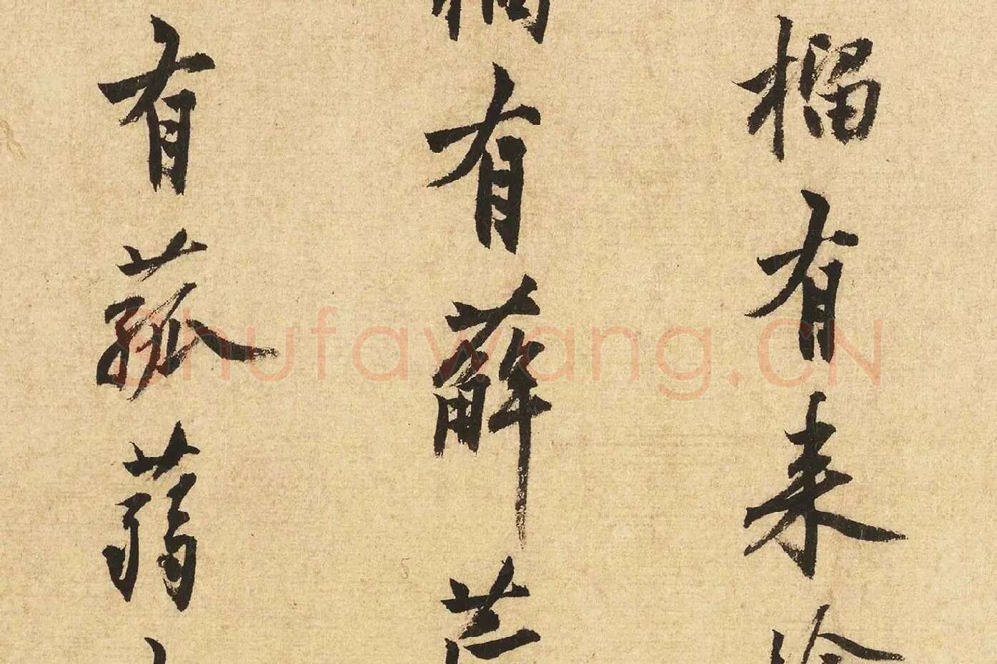 沈周行书书法《题跋法常水墨写生图》局部 (5)