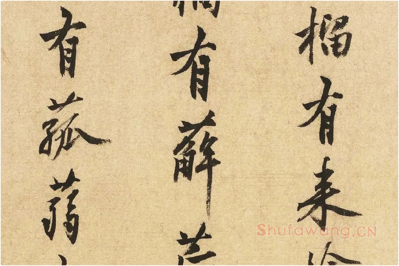 沈周行书书法《题跋法常水墨写生图》局部 (5)
