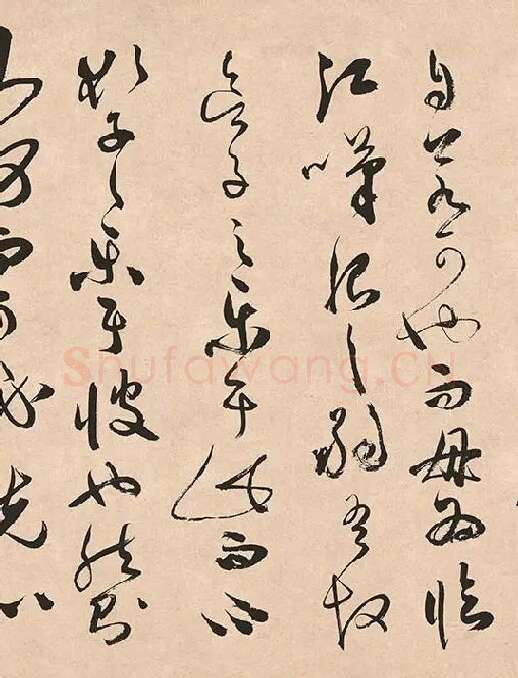 祝允明《草书云江记》_04
