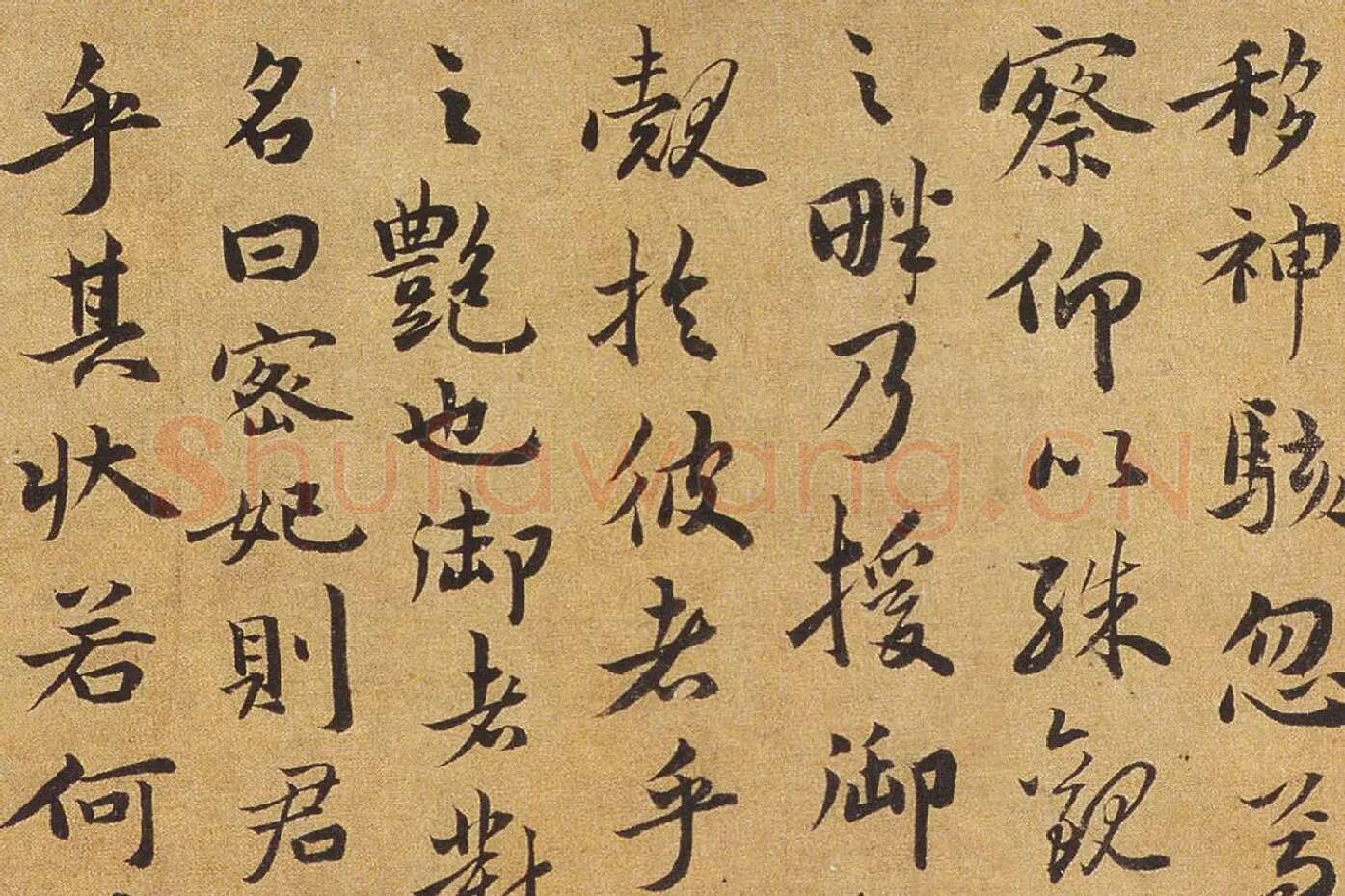祝允明行楷书《洛神赋》局部 (2)