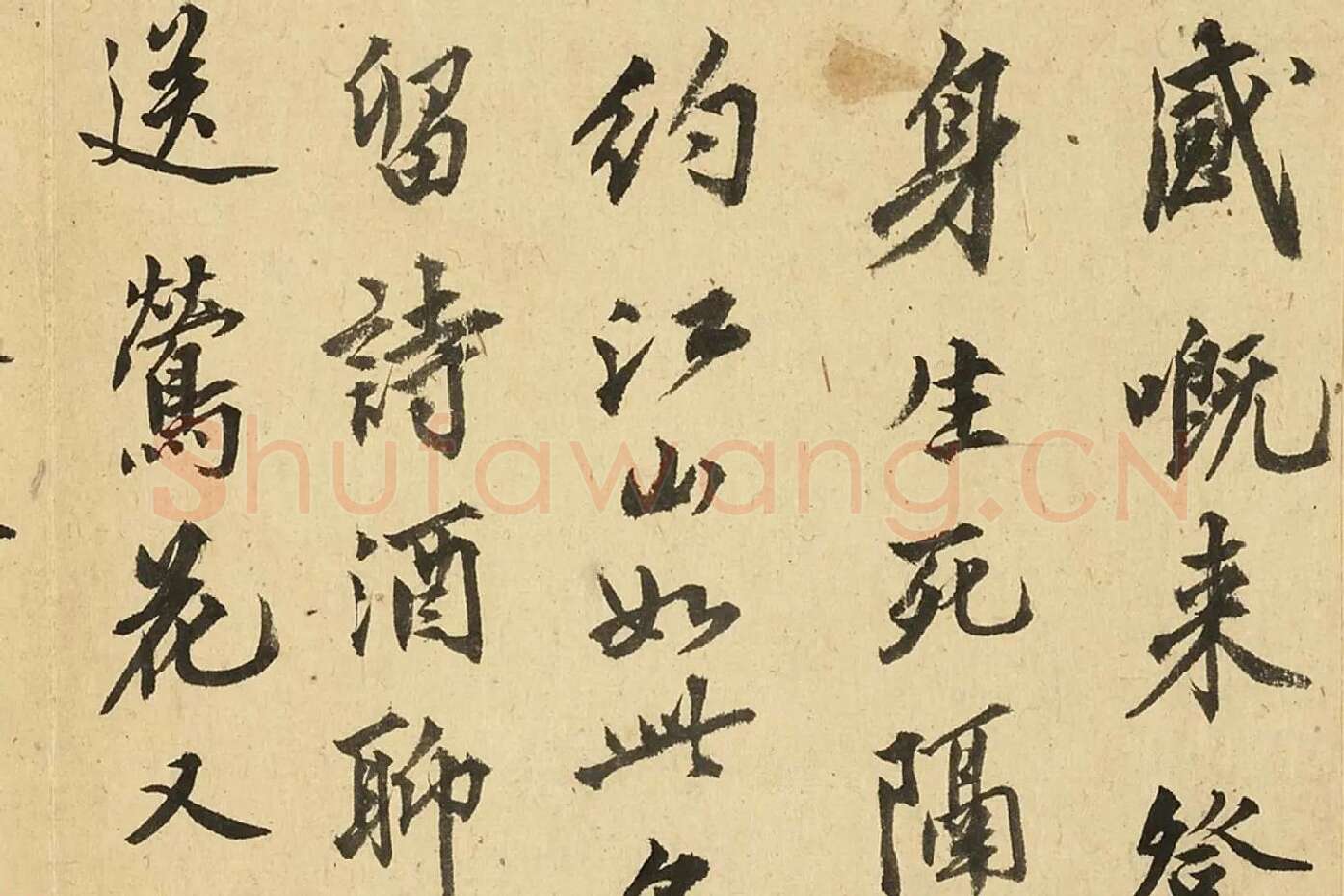 沈周行书《自书诗册》局部 (5)