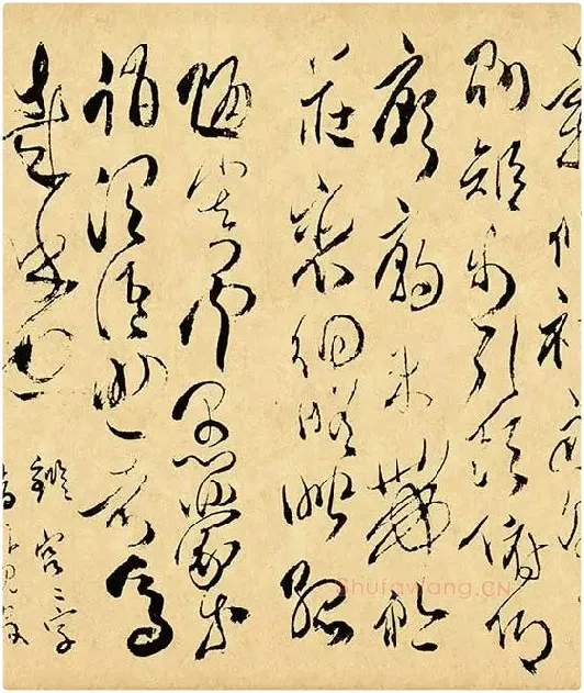 傅山《草书千字文》_03