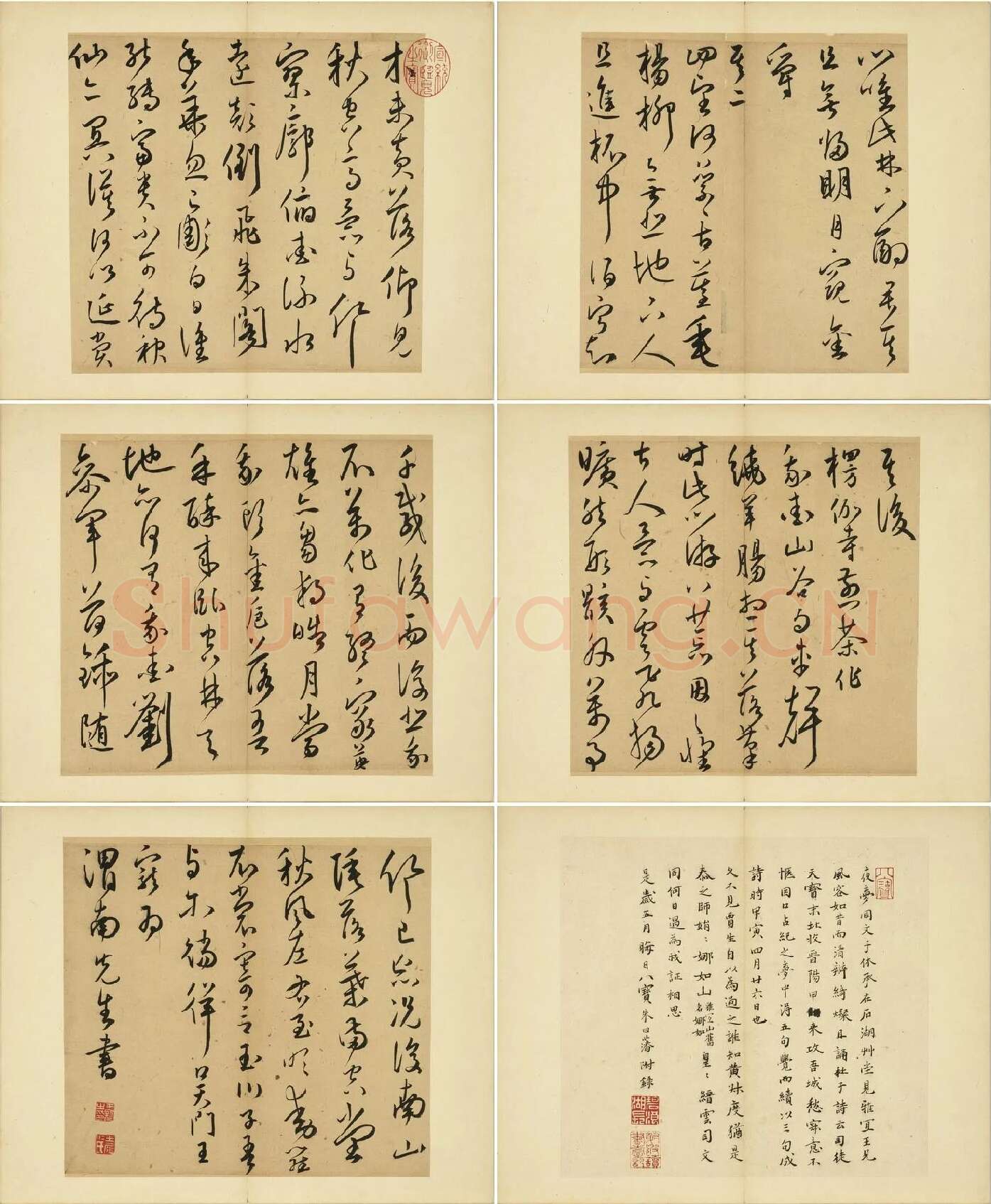 王宠草书诗册_02