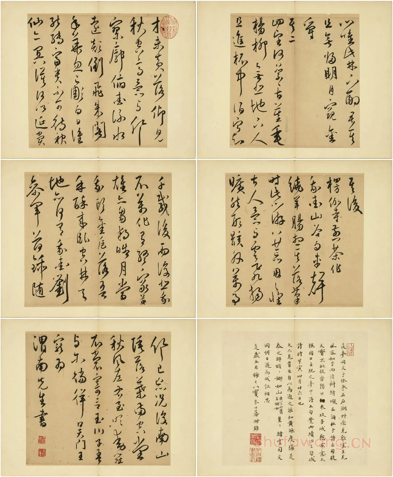 王宠草书诗册_02