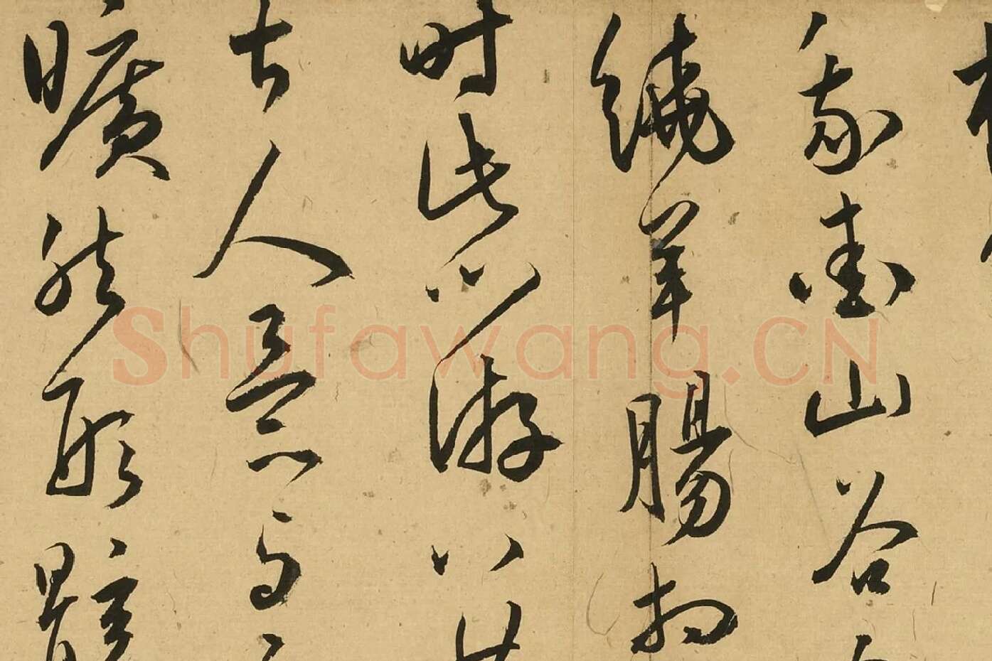 王宠草书诗册局部 (5)