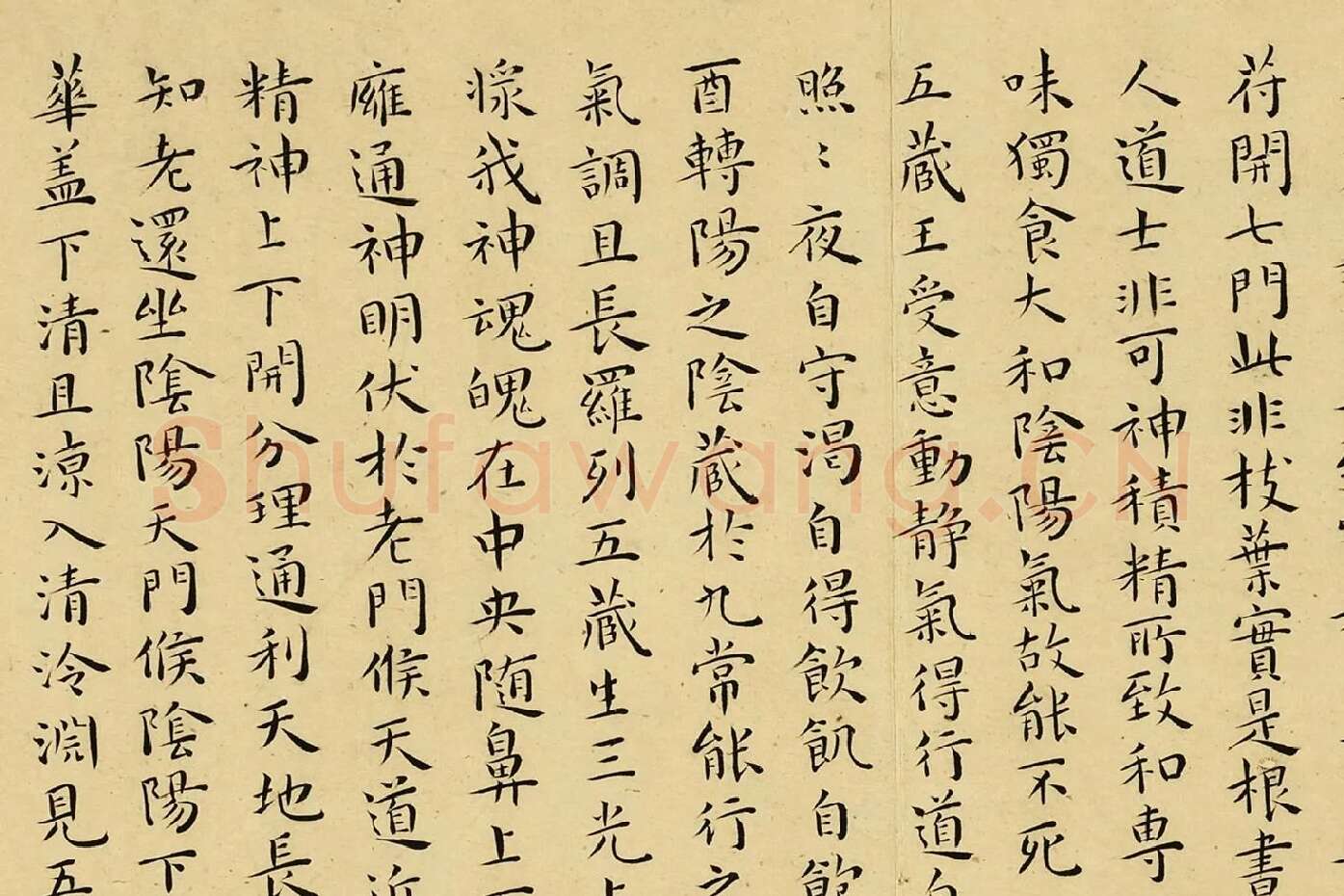 王宠小楷书册页局部 (8)